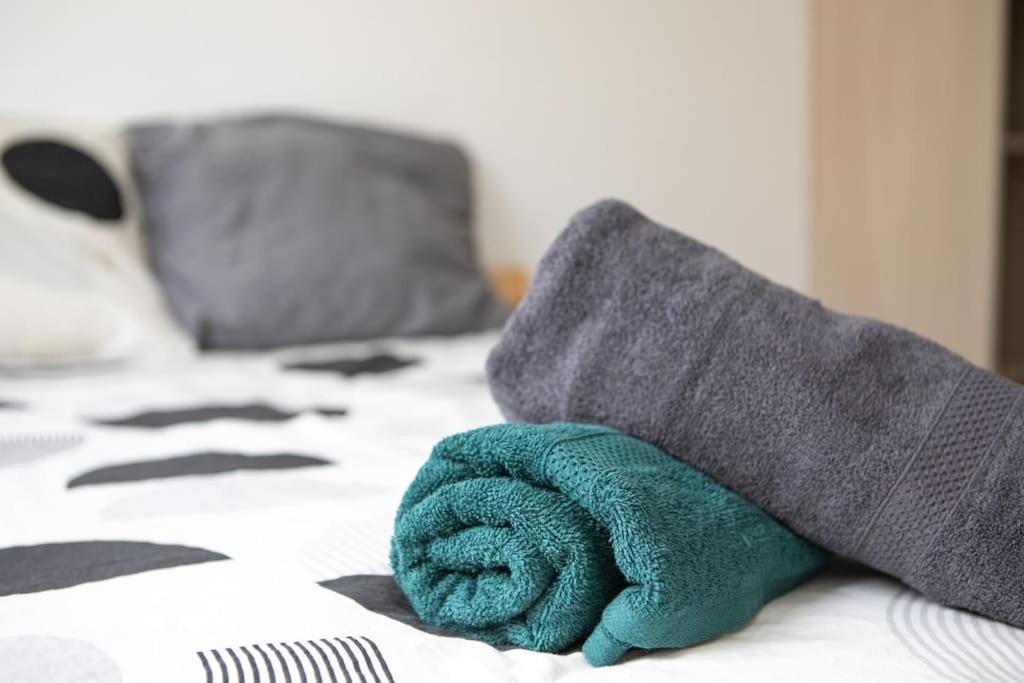 Suite Lumineux Et Moderne, Parking Gratuit, Mulhouse Centre 外观 照片